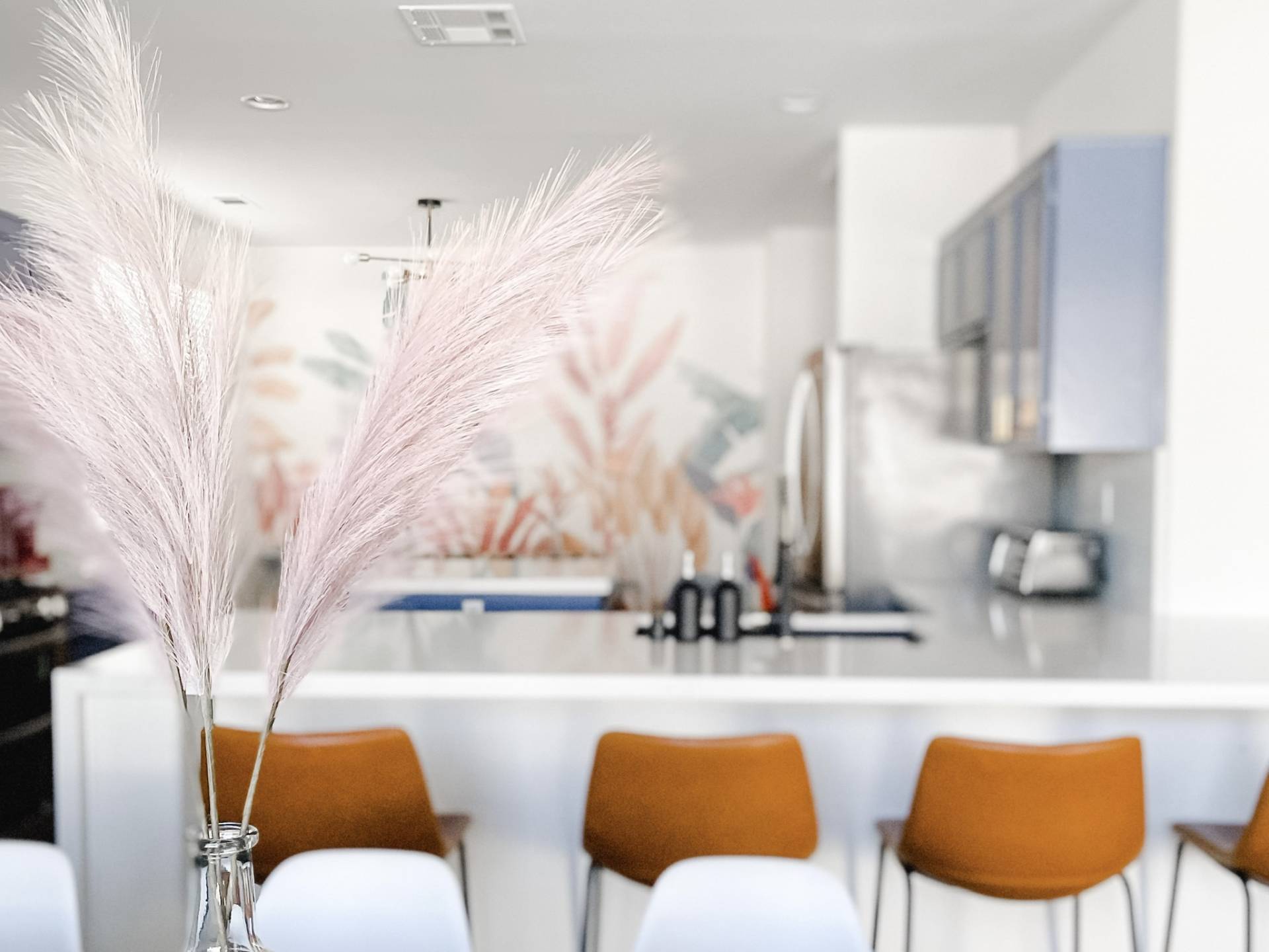 Fun Family Halloween Activities In The Coachella Valley Arrivls